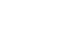 MAPAL logo
