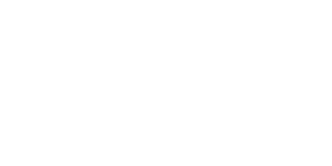 Naos logo